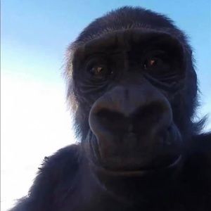 Meet your Posher, Alexander